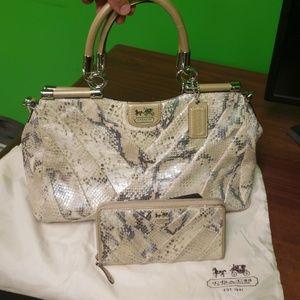 Coach Purse & Wallet